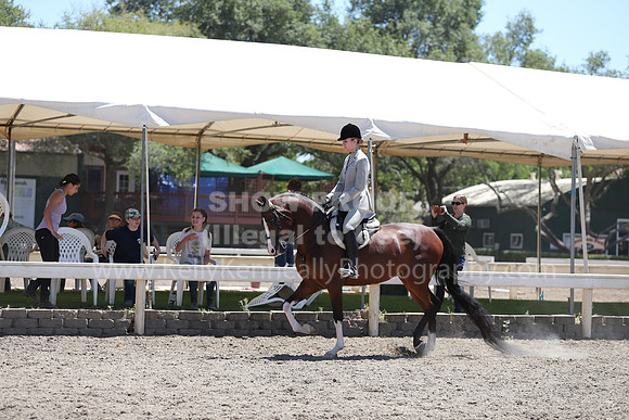 DAHA_Spring21_Fri_2229