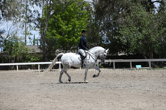 DAHA_Spring21_Fri_2261