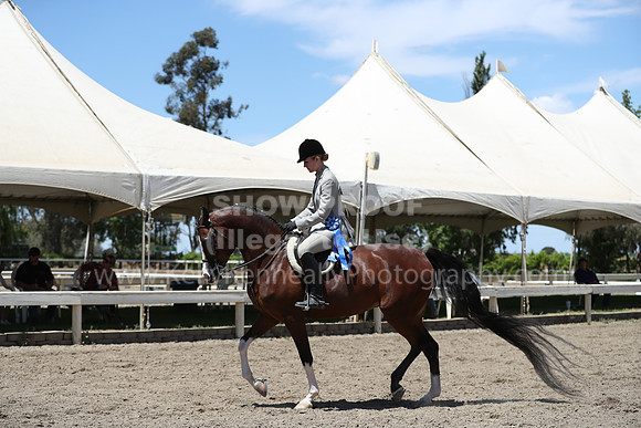 DAHA_Spring21_Fri_2272