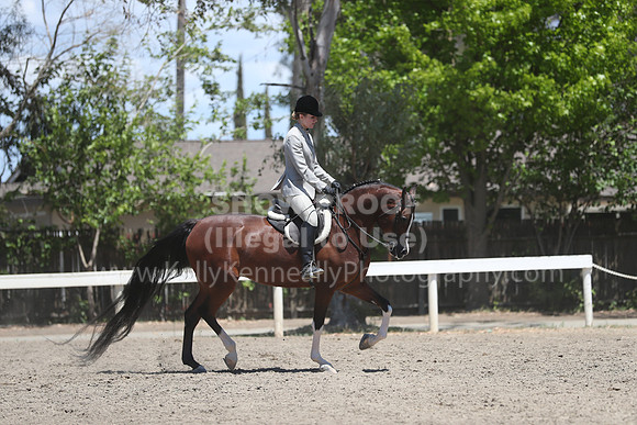 DAHA_Spring21_Fri_2268