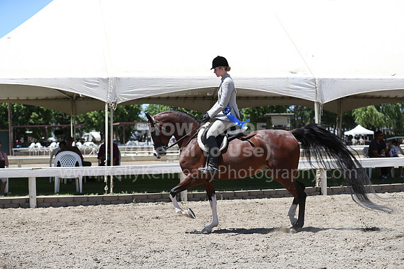 DAHA_Spring21_Fri_2277