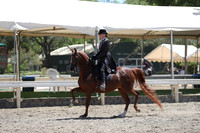DAHA_Spring21_Fri_2375