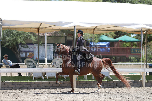 DAHA_Spring21_Fri_2426