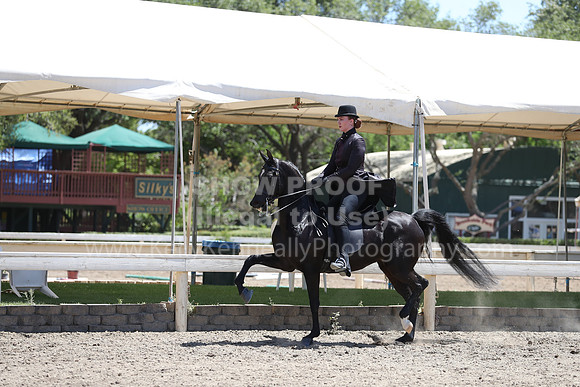 DAHA_Spring21_Fri_2418