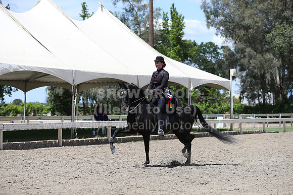 DAHA_Spring21_Fri_2430