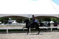 DAHA_Spring21_Fri_2412