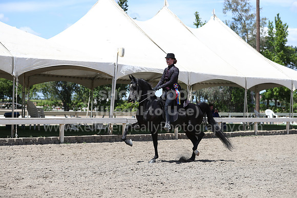 DAHA_Spring21_Fri_2433