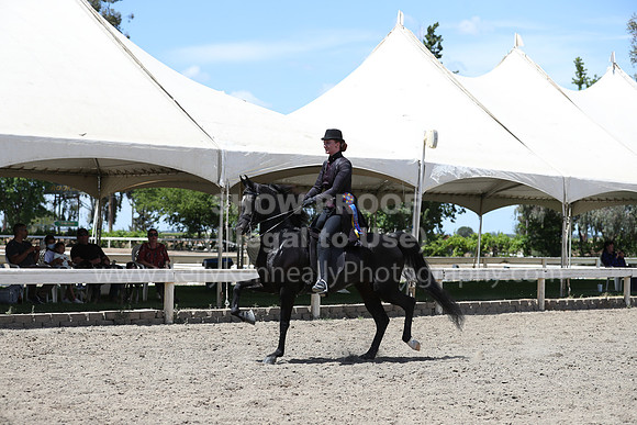 DAHA_Spring21_Fri_2434