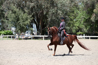 DAHA_Spring21_Fri_2441