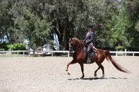 DAHA_Spring21_Fri_2442