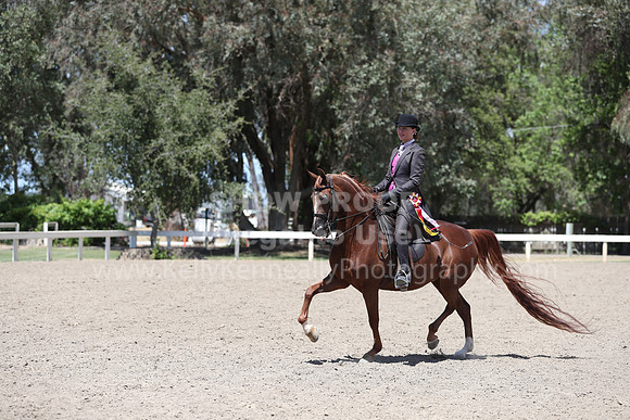 DAHA_Spring21_Fri_2442