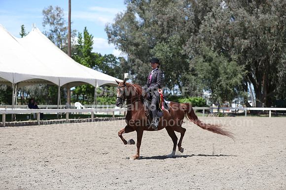 DAHA_Spring21_Fri_2443