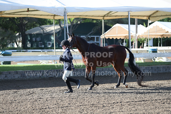 DAHA_Spring21_Sat_2491