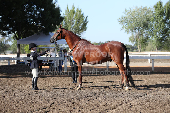 DAHA_Spring21_Sat_2497