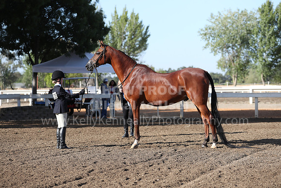DAHA_Spring21_Sat_2498