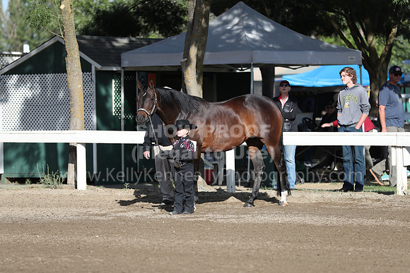 DAHA_Spring21_Sat_2505