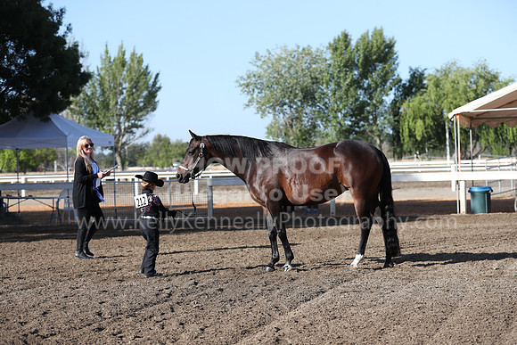 DAHA_Spring21_Sat_2509