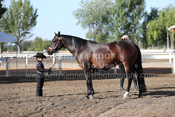 DAHA_Spring21_Sat_2510