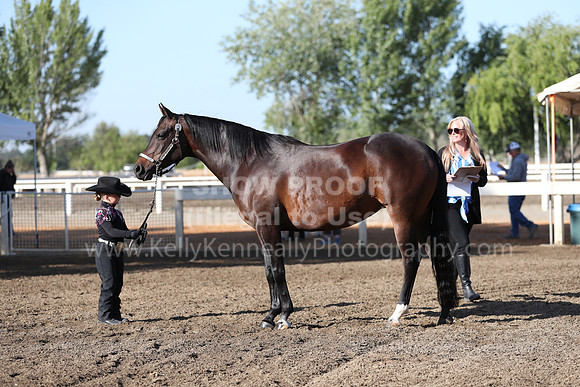 DAHA_Spring21_Sat_2511