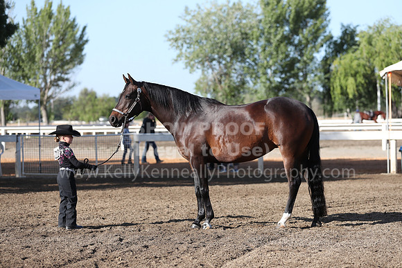 DAHA_Spring21_Sat_2512