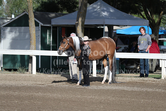 DAHA_Spring21_Sat_2521