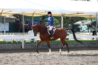 DAHA_Spring21_Sat_2711