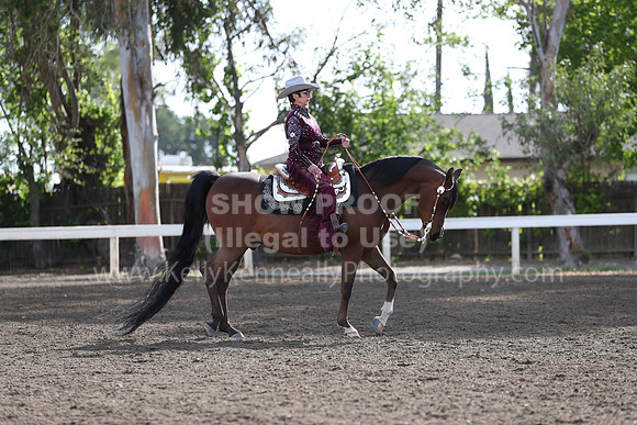 DAHA_Spring21_Sat_2692