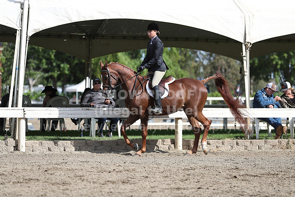 DAHA_Spring21_Sat_2777