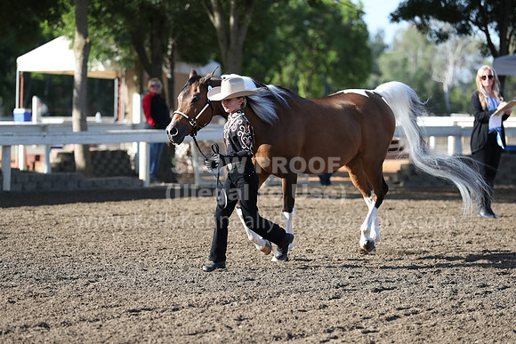 DAHA_Spring21_Sat_2531