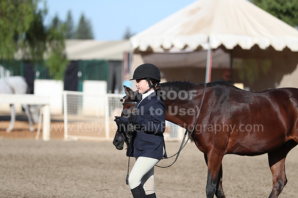 DAHA_Spring21_Sat_2537