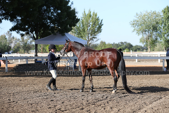 DAHA_Spring21_Sat_2538