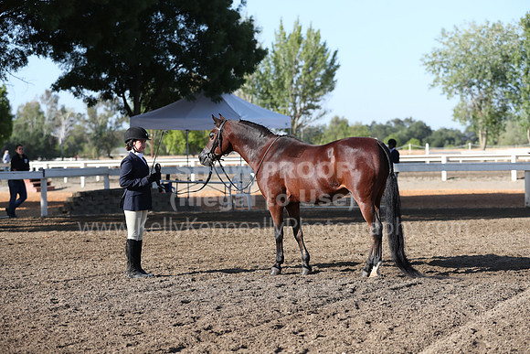 DAHA_Spring21_Sat_2539