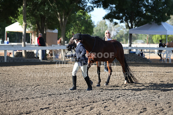 DAHA_Spring21_Sat_2542