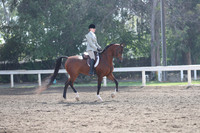 DAHA_Spring21_Sat_2830