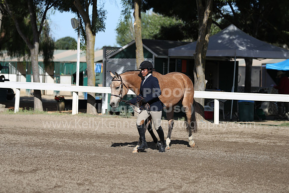 DAHA_Spring21_Sat_2559