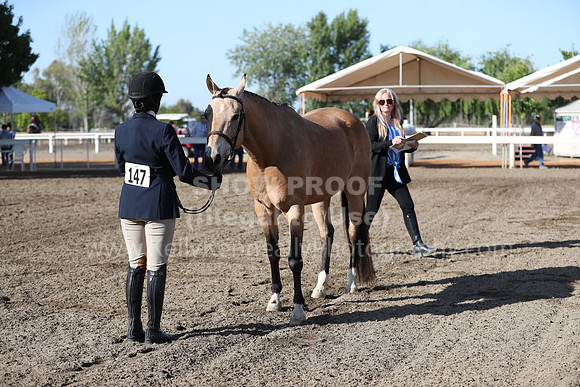 DAHA_Spring21_Sat_2567