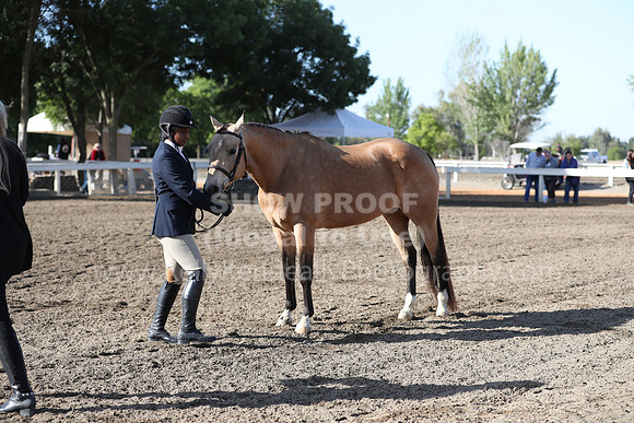 DAHA_Spring21_Sat_2568
