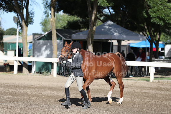 DAHA_Spring21_Sat_2571