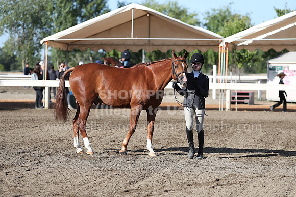 DAHA_Spring21_Sat_2574