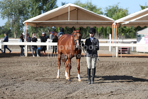 DAHA_Spring21_Sat_2576