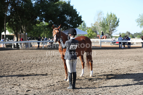 DAHA_Spring21_Sat_2578