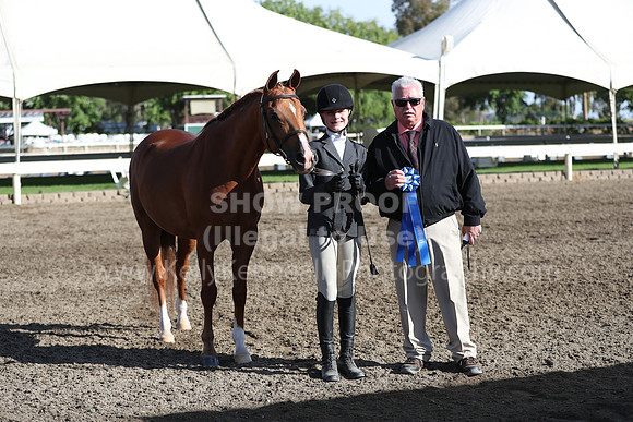 DAHA_Spring21_Sat_2581