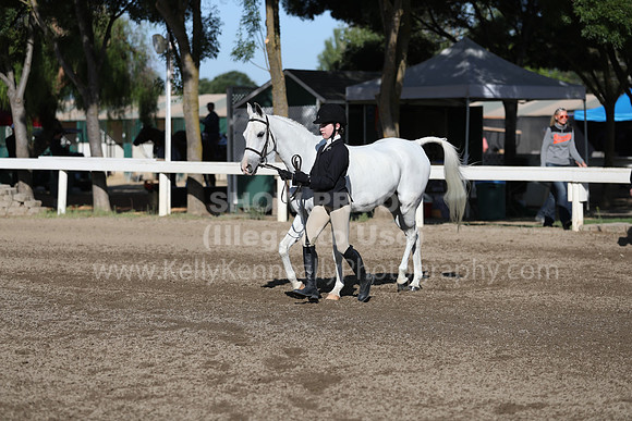 DAHA_Spring21_Sat_2593
