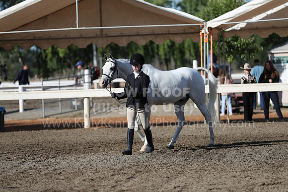 DAHA_Spring21_Sat_2596