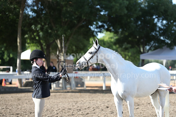 DAHA_Spring21_Sat_2604