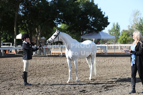 DAHA_Spring21_Sat_2603