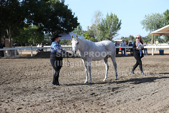 DAHA_Spring21_Sat_2614