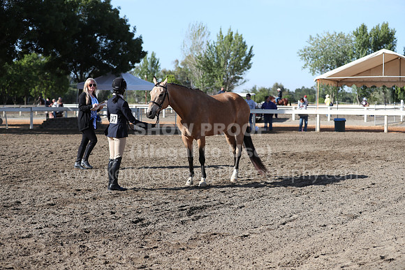 DAHA_Spring21_Sat_2626