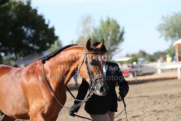 DAHA_Spring21_Sat_2644