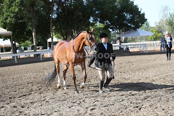 DAHA_Spring21_Sat_2643